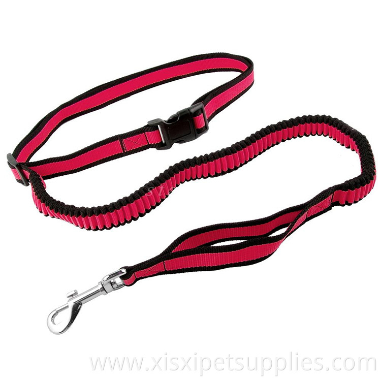 Bungee dog leash low minimum order quantity